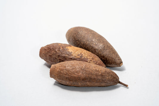 Three dried Trumpet Seed Pods rough, brown surfaces and hollow, jagged openings are arranged on a white background—perfect for aquarium decor, shrimp hides, or bioactive terrariums.