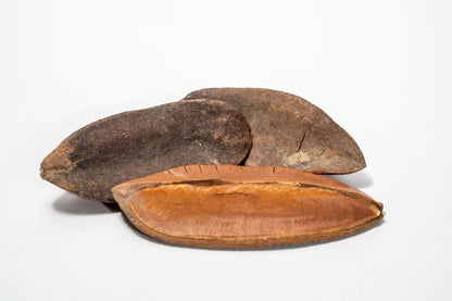 Three triangle pods laying horizontal showing the dark brown top of the pod and the light brown bottom of the seed pod on a white background.