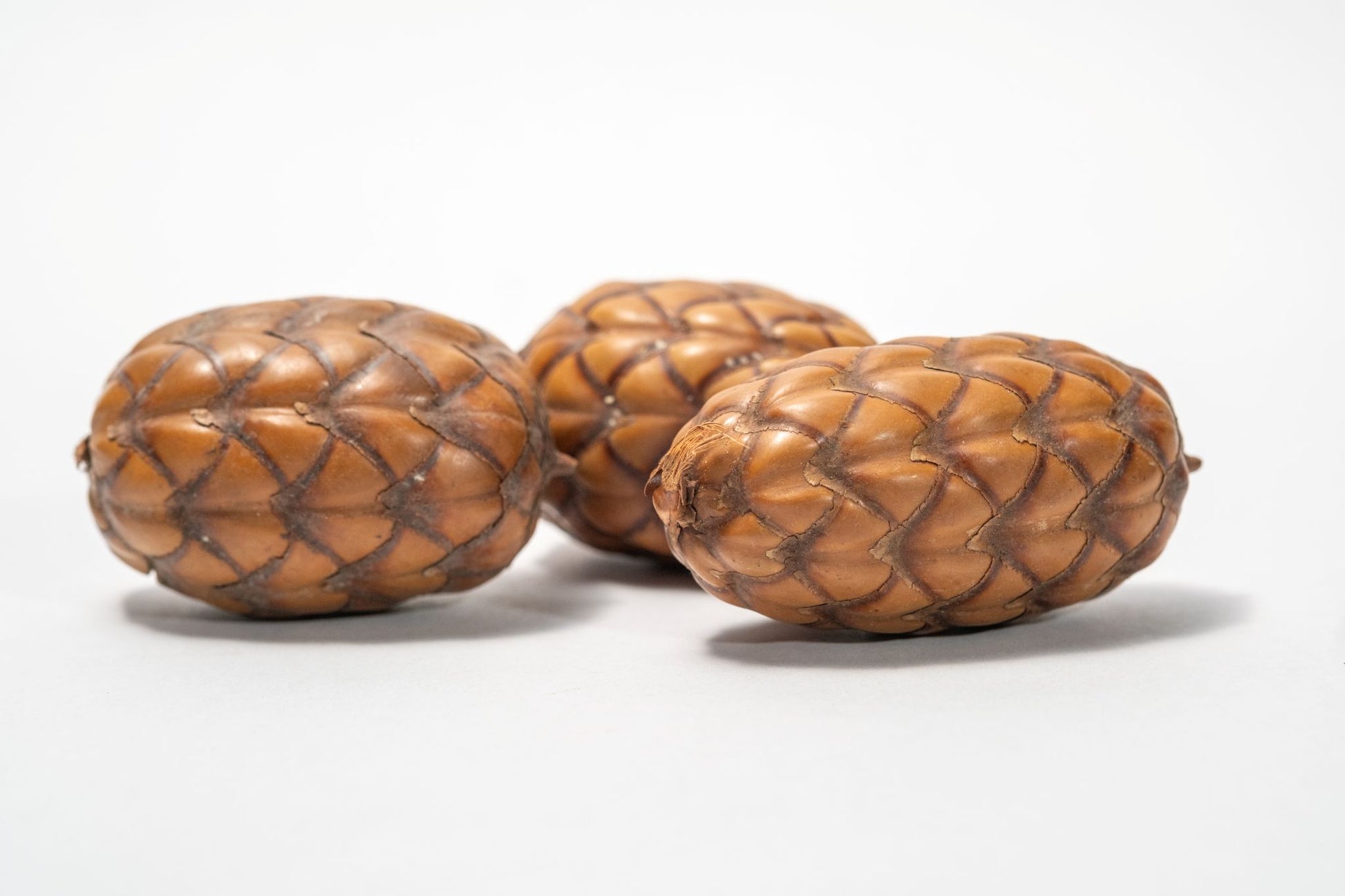 A close-up of several Dragon Egg Pod (Uxi Pod), a unique textured brown botanical often used in home decor as bowl filler.