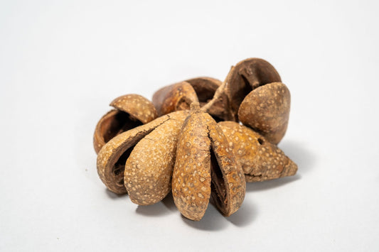 A pile of dried brown pear pods that are split open on a white background.